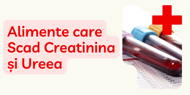 Alimente care Scad Creatinina și Ureea